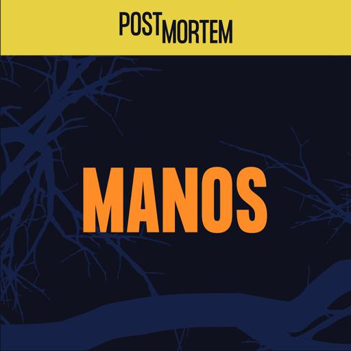 43 - Manos