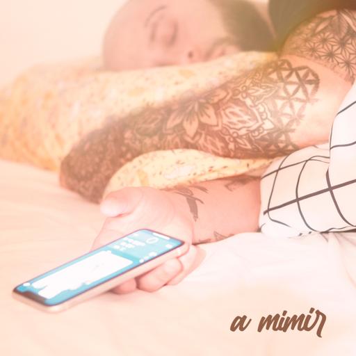 a mimir 7 - la dependencia