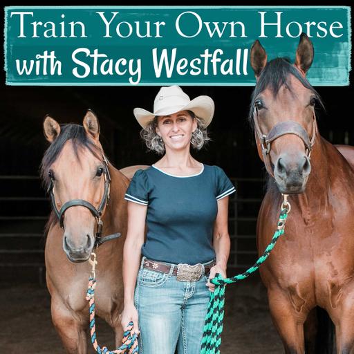 Train Your Own Horse with Stacy Westfall