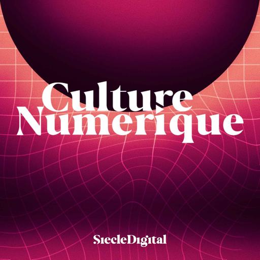 Culture Numérique