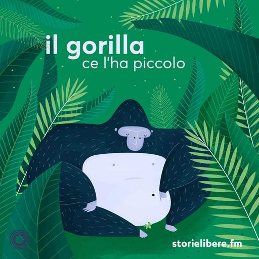 Il gorilla ce l'ha piccolo