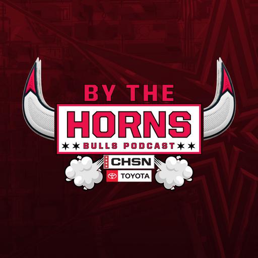 By The Horns: A Chicago Bulls Show