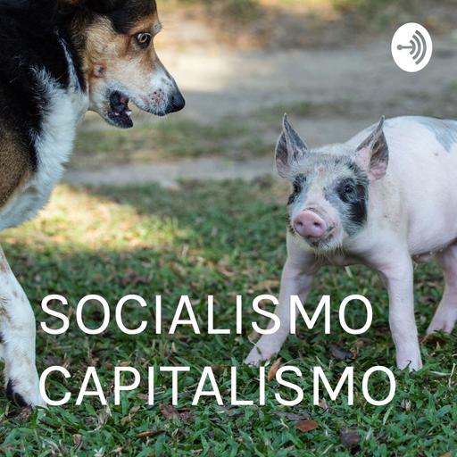 SOCIALISMO × CAPITALISMO