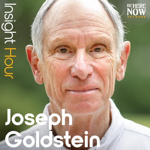 Insight Hour with Joseph Goldstein