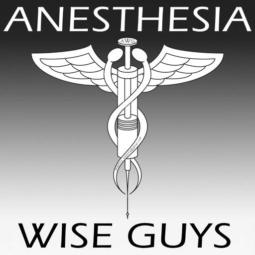 Anesthesia Wise Guys