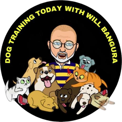 Dog Training Today with Will Bangura for Pet Parents, Kids & Family, Pets and Animals, and Dog Training Professionals. This is a Education & How To Dog Training Podcast.