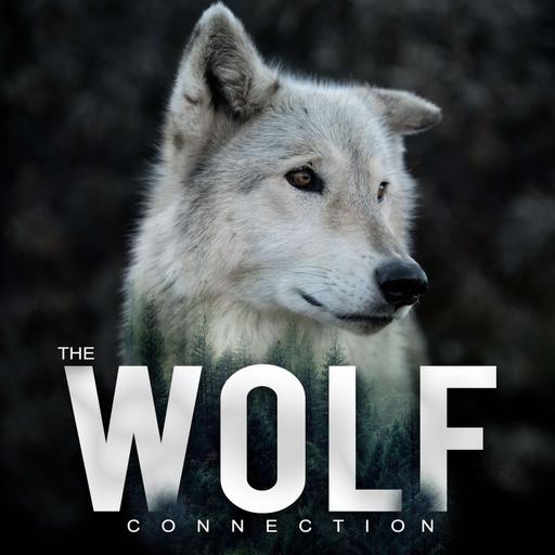 The Wolf Connection