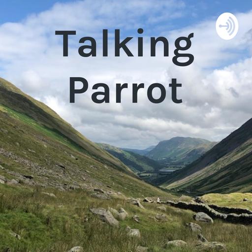 Talking Parrot