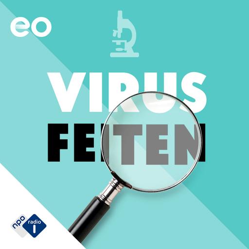 Virusfeiten