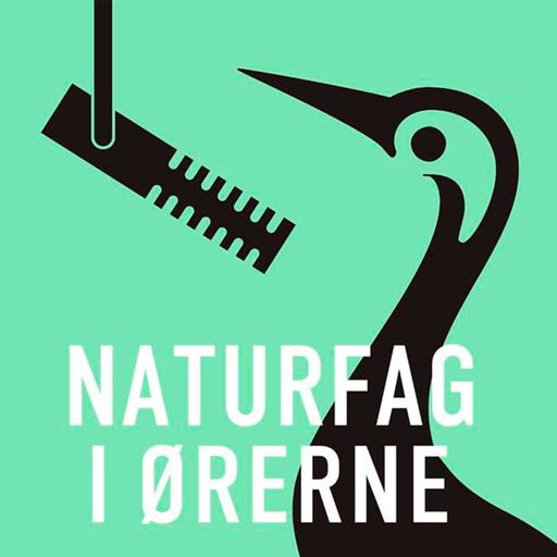 Naturfag i ørerne