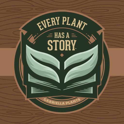 Every Plant Story | Gabriella Plants