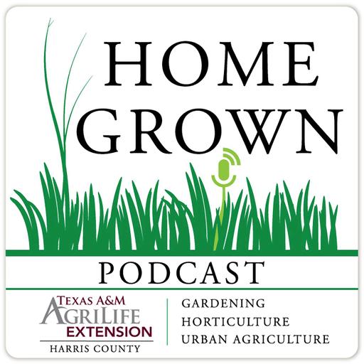 Home Grown Podcast