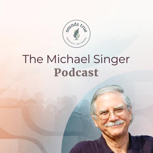 Michael Singer Podcast