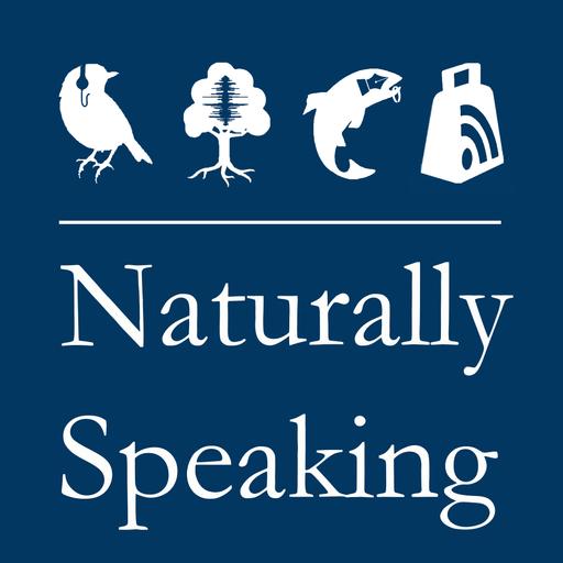 Naturally Speaking