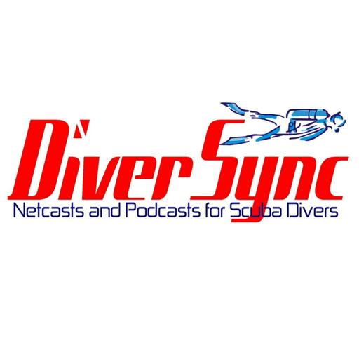 DiverSync