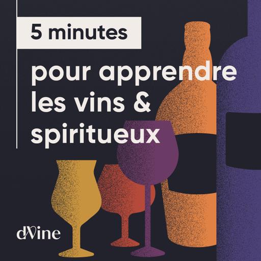 5 minutes pour apprendre le vin