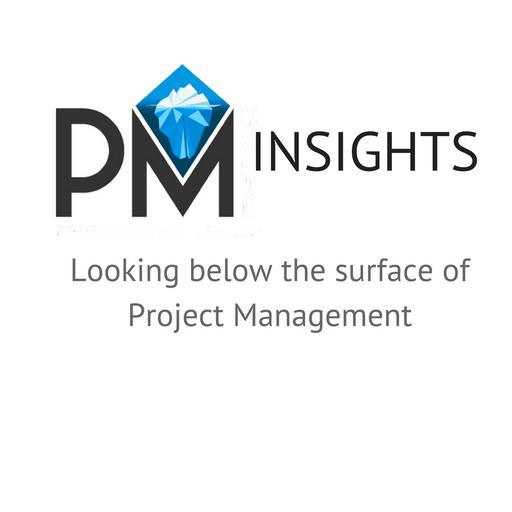 Project Management Insights