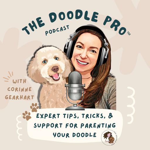 The Doodle Pro Podcast: Unleashing Expert Training, Grooming, & Health Tips for Doodle Dogs & Puppies