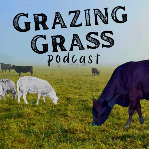 Grazing Grass Podcast : Sharing Stories of Regenerative Ag