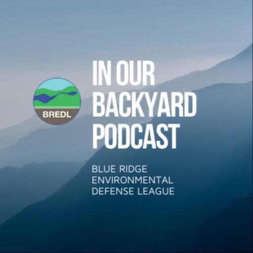 In Our Backyard Podcast