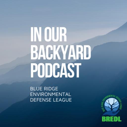 In Our Backyard Podcast