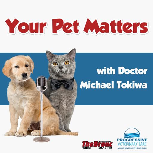 Your Pet Matters(Official 107.7 The Bronc Podcast)