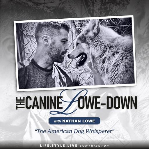 The Canine Lowe-Down