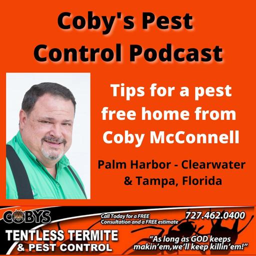 Coby's Pest Control & Tentless Termite Podcast