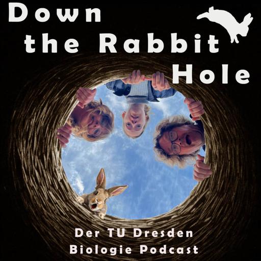 Down the Rabbit Hole - Der TU Dresden Biologie Podcast