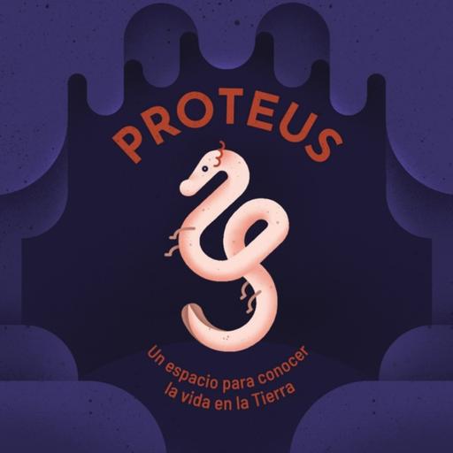 Proteus