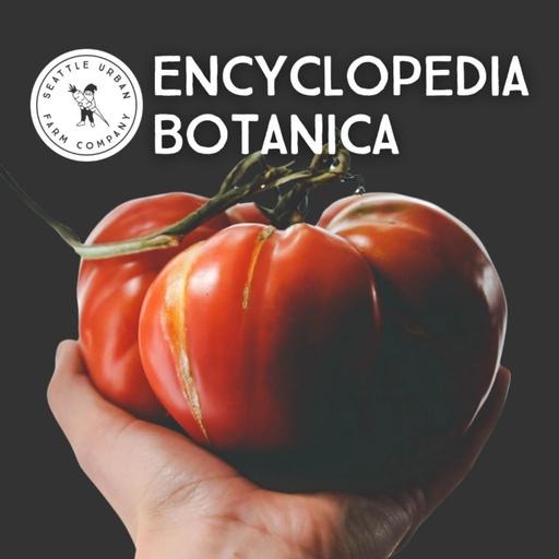 Encyclopedia Botanica