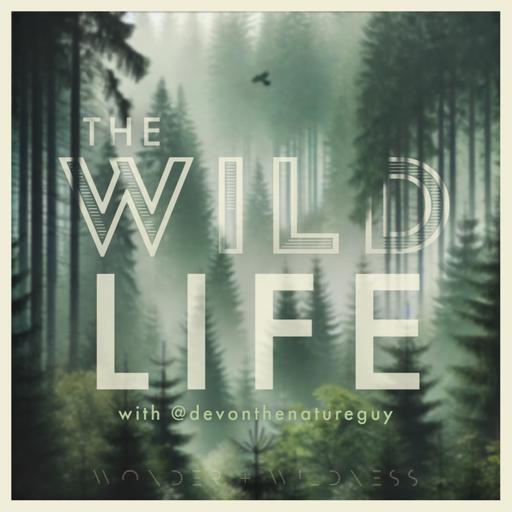 The Wild Life