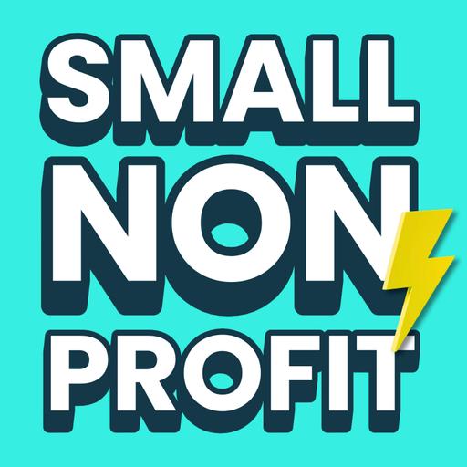 The Small Nonprofit