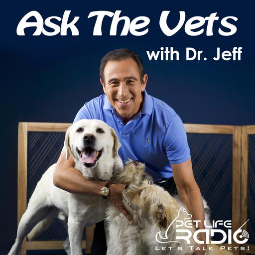 Ask the Vets with Dr. Jeff - Best Veterinary Podcast - Pet Life Radio Original (PetLifeRadio.com)