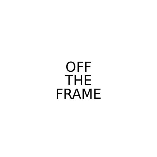 OFF THE FRAME