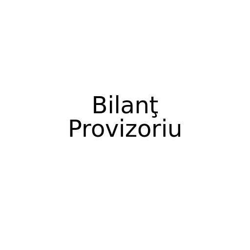 Bilanţ Provizoriu