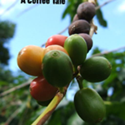 Salavandra: A Coffee Tale