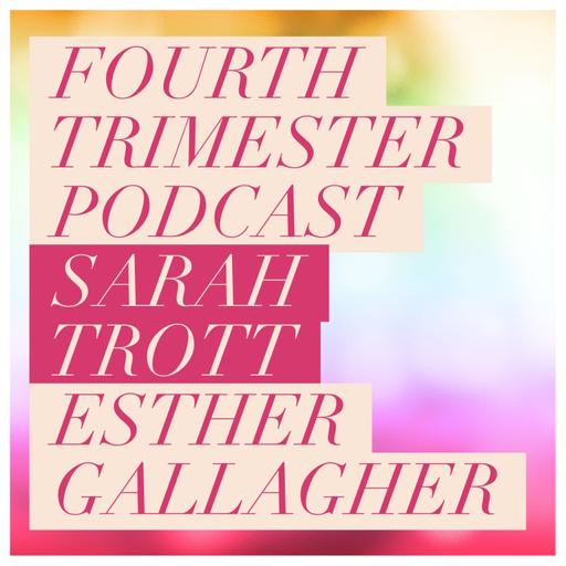 Fourth Trimester: The First Months and Beyond | Parenting | Newborn Baby | Postpartum | Doula
