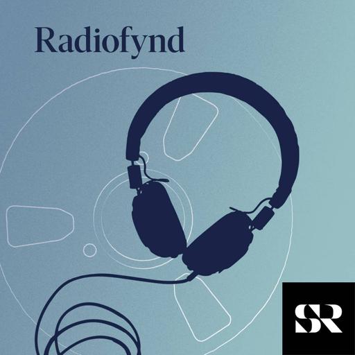 Radiofynd