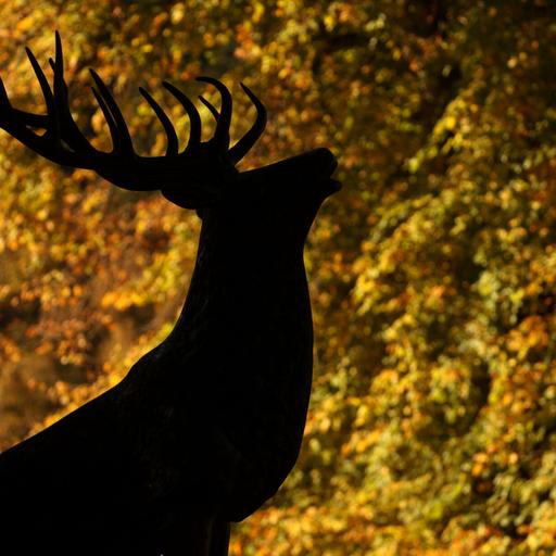 Stakar sendingar - sjónvarp