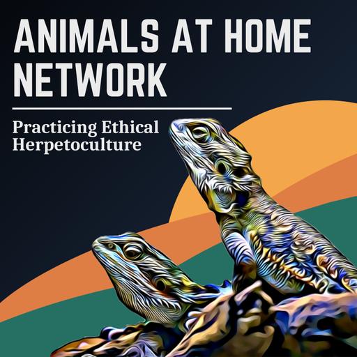 Animals at Home Network