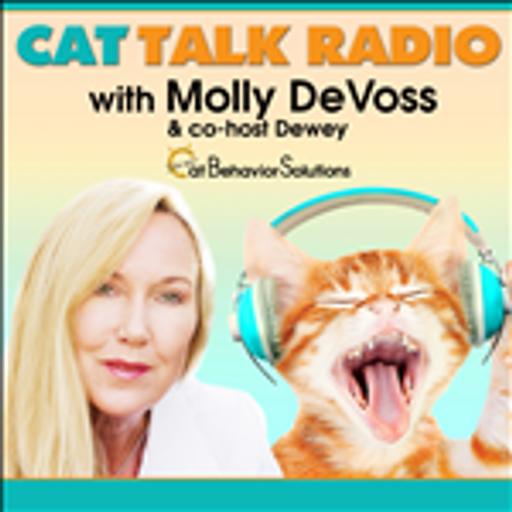 Cat Talk Radio