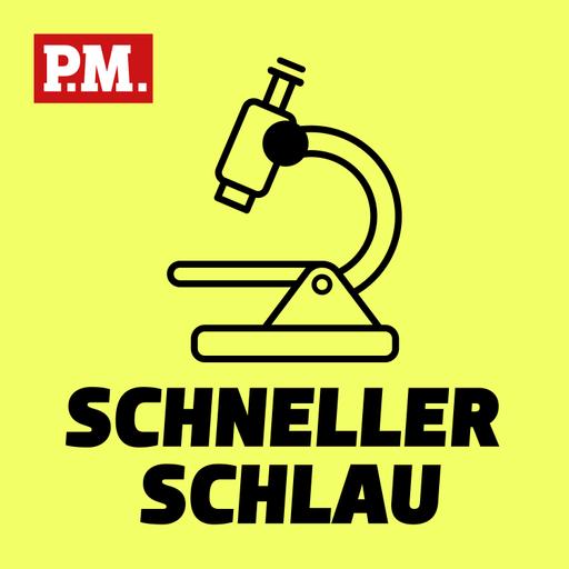 Schneller schlau - Der kurze Wissenspodcast von P.M.