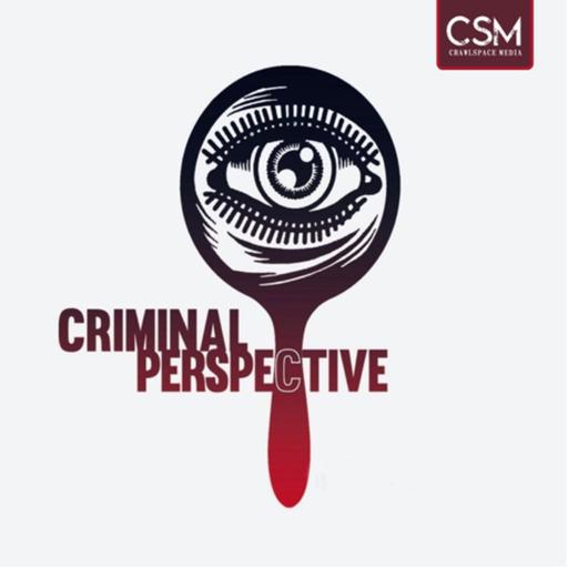 Criminal Perspective